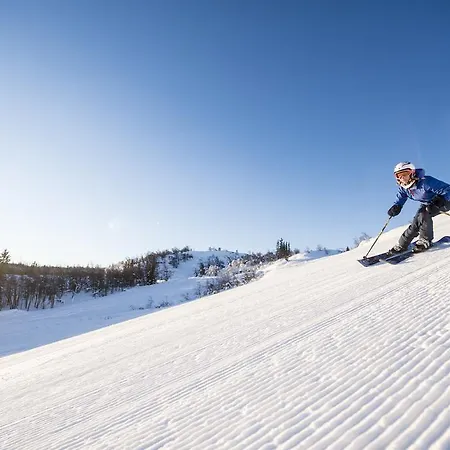 Lejlighed Al Skisenter
